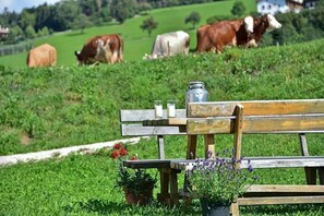 المنطقة المحيطة بالمنشأة