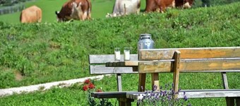 Farmhouse 'Gatterpunerhof' with Mountain View, Shared Terrace and Wi-Fi