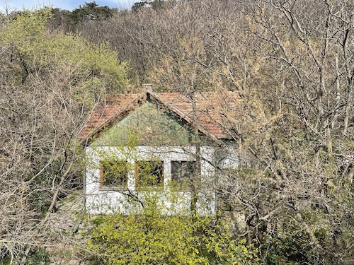 Peaceful romantic cottage house with garden in Budapest hills