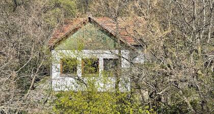 Peaceful romantic cottage house with garden in Budapest hills