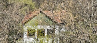 Peaceful romantic cottage house with garden in Budapest hills