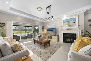 Smart TV, fireplace, books