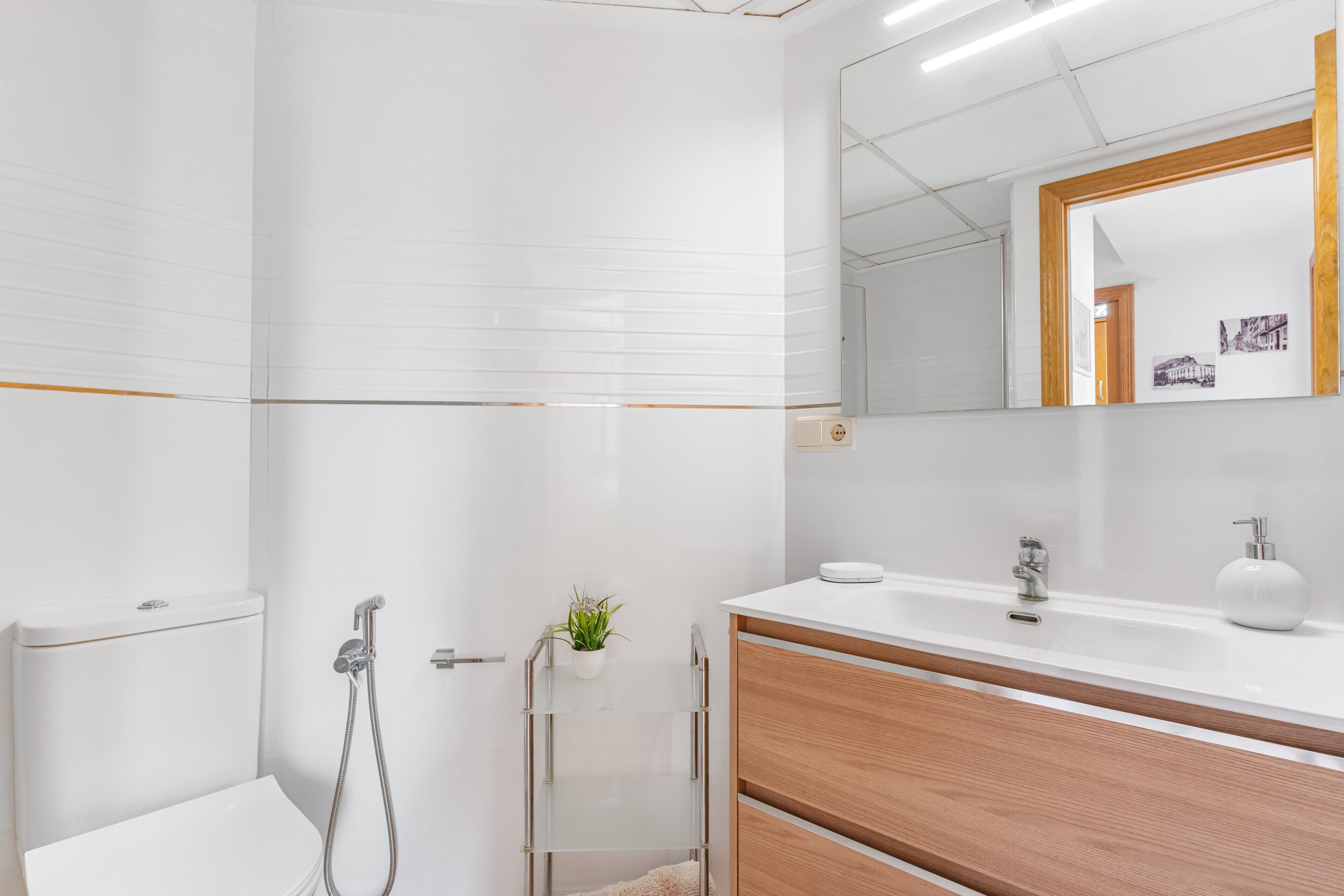 Dutxa, assecador de cabells i tovalloles 