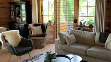 Smart TV, chimenea, reproductor de DVD, libros