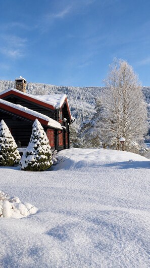 Eksteriør