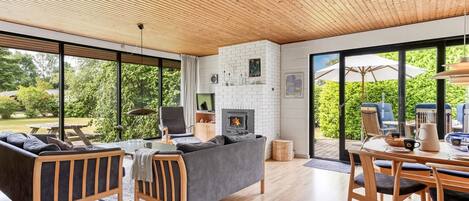 TV, fireplace