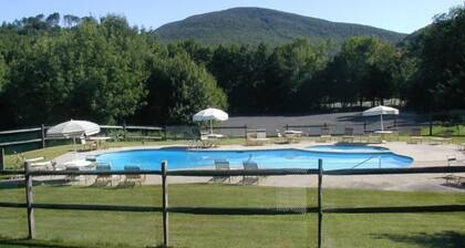 2 BR Jiminy Peak w Mountain View Sleeps 7 Gorgeous