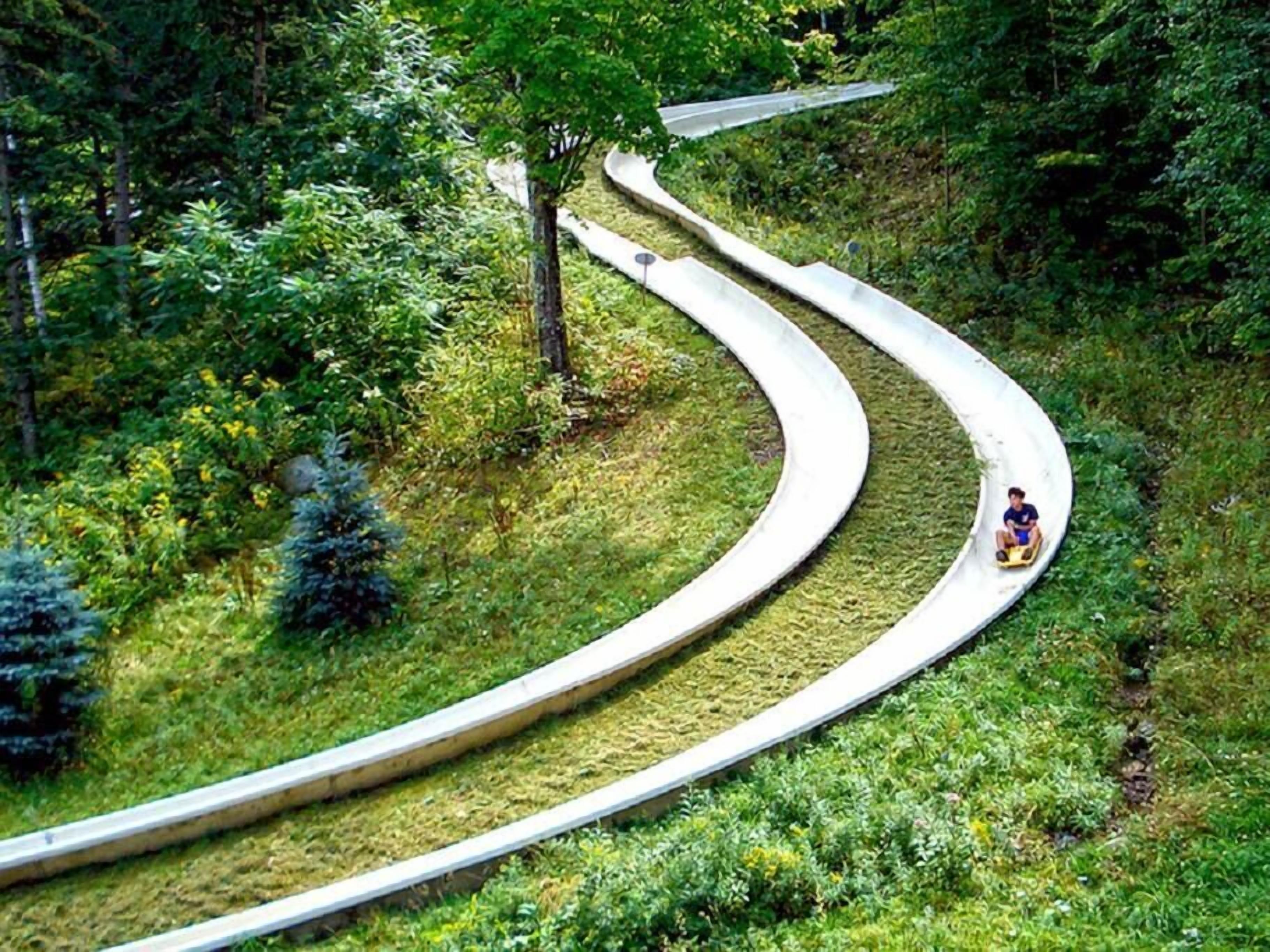 A winding concrete path in a lush green area with a person riding a small vehicle.