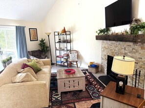 TV, fireplace, DVD player, books