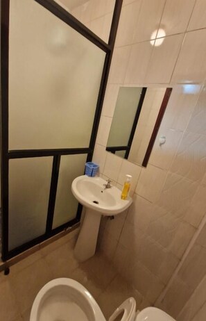 Shower, hair dryer, bidet, soap