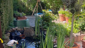 Un jardin avec un bassin, des plantes en pot, une mangeoire à oiseaux en bois et une statue de tortue.