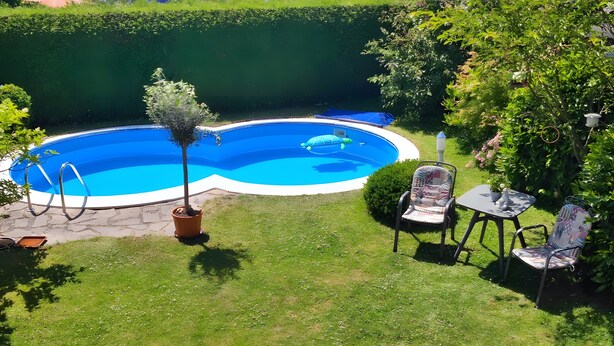 Un jardin avec une piscine, un arbre en pot et du mobilier d’extérieur.