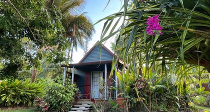 Gßte cosy pour 2 à Sainte-Rose, jardin créole