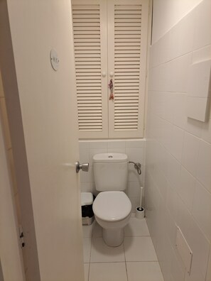 Secador de pelo, toallas y papel higiénico