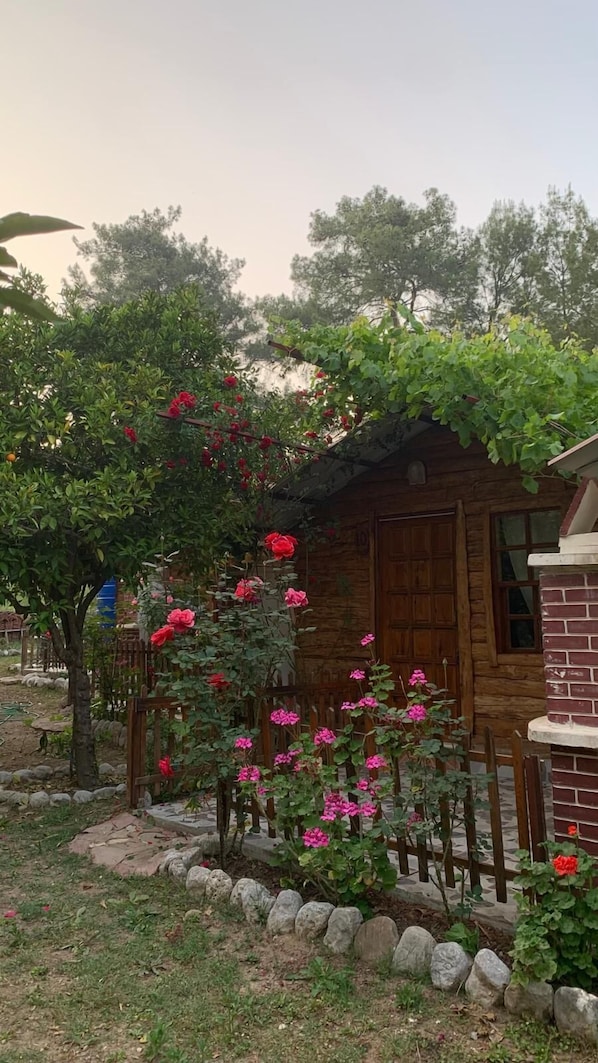 Living area - Karakalem Pansiyon (Kumluca)