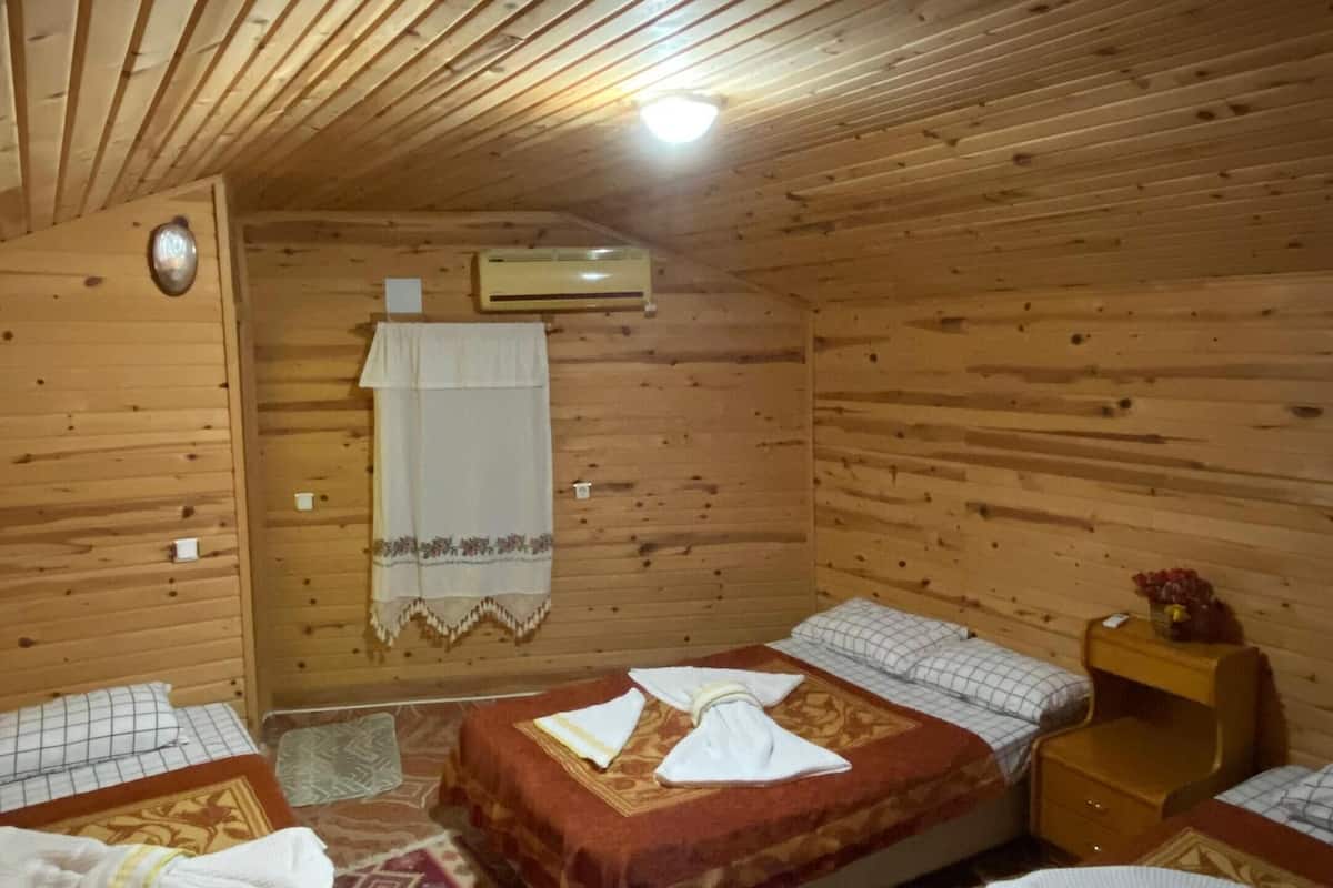 Standard Double Room, 2 Double Beds, Balcony, Mountain View