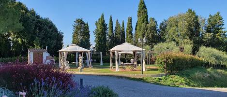 المنطقة المحيطة بالمنشأة