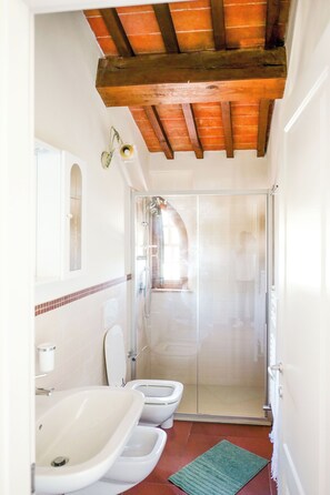 Shower, hair dryer, bidet