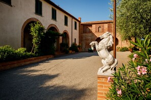 Detalle del exterior