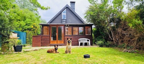 Le chalet des câlins canins