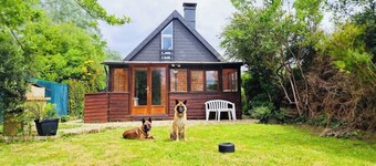 The canine cuddle cottage