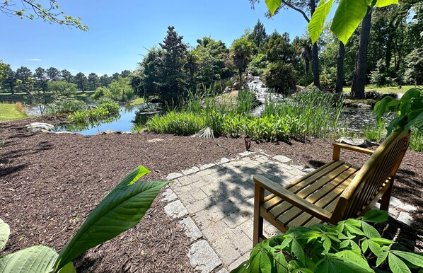 Un banco de madera en un jardín con un estanque y vegetación circundante.