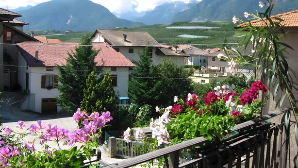 A residential area with houses, a balcony with flowers, and mountains in the background. - Apartment 'Odorizzi Dolomiti Di Brenta' with Mountain View, Shared Garden and Balcony (Tassullo)