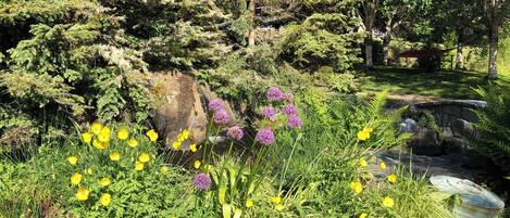 Áreas de la propiedad