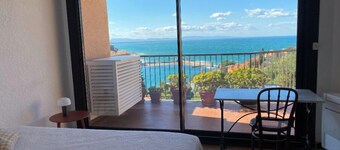 Collioure large apartment terrace swimming pool garage air-conditioning exceptional view.