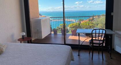 Collioure large apartment terrace swimming pool garage air-conditioning exceptional view.