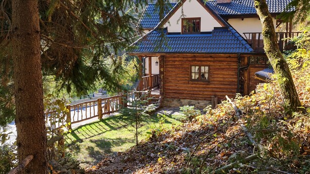 A wooden cabin with a blue roof, surrounded by trees and a grassy area.