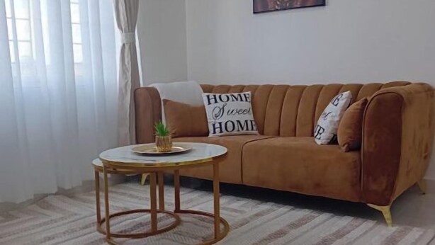 A living room with a brown sofa, a round coffee table, a patterned rug, a potted plant, and a wall with a framed picture.