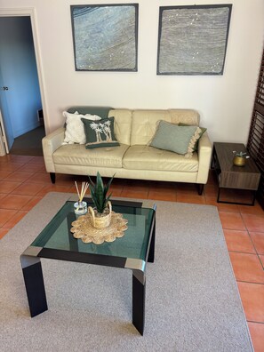 Smart TV, fireplace, DVD player, books