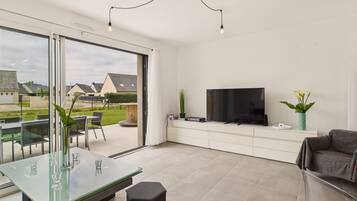 電視、電子遊戲、DVD 播放機