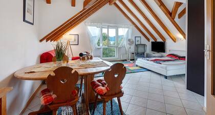 Apartment 'Tetto Piccolo' with Shared Garden and Wi-Fi