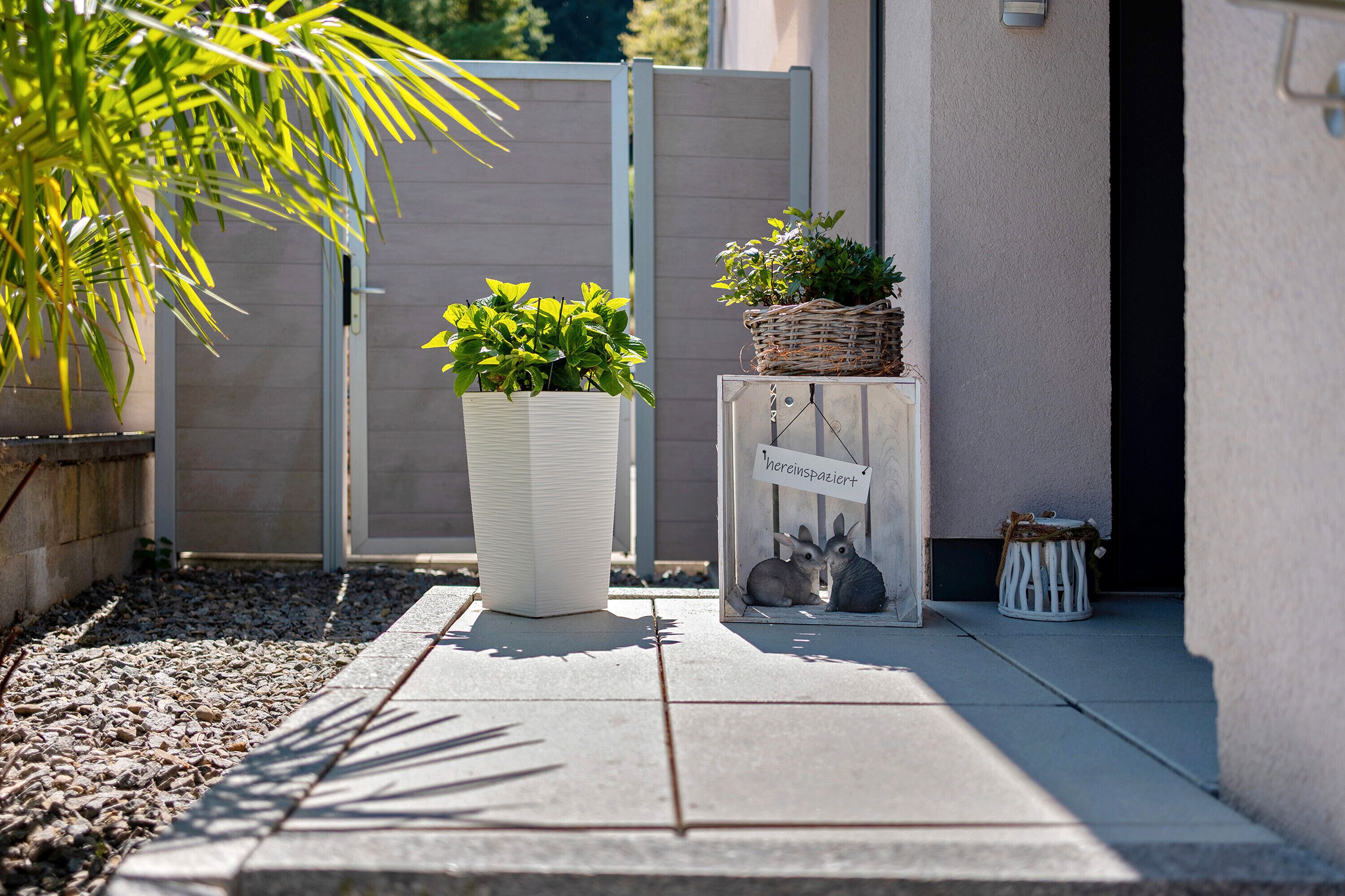 Área da propriedade