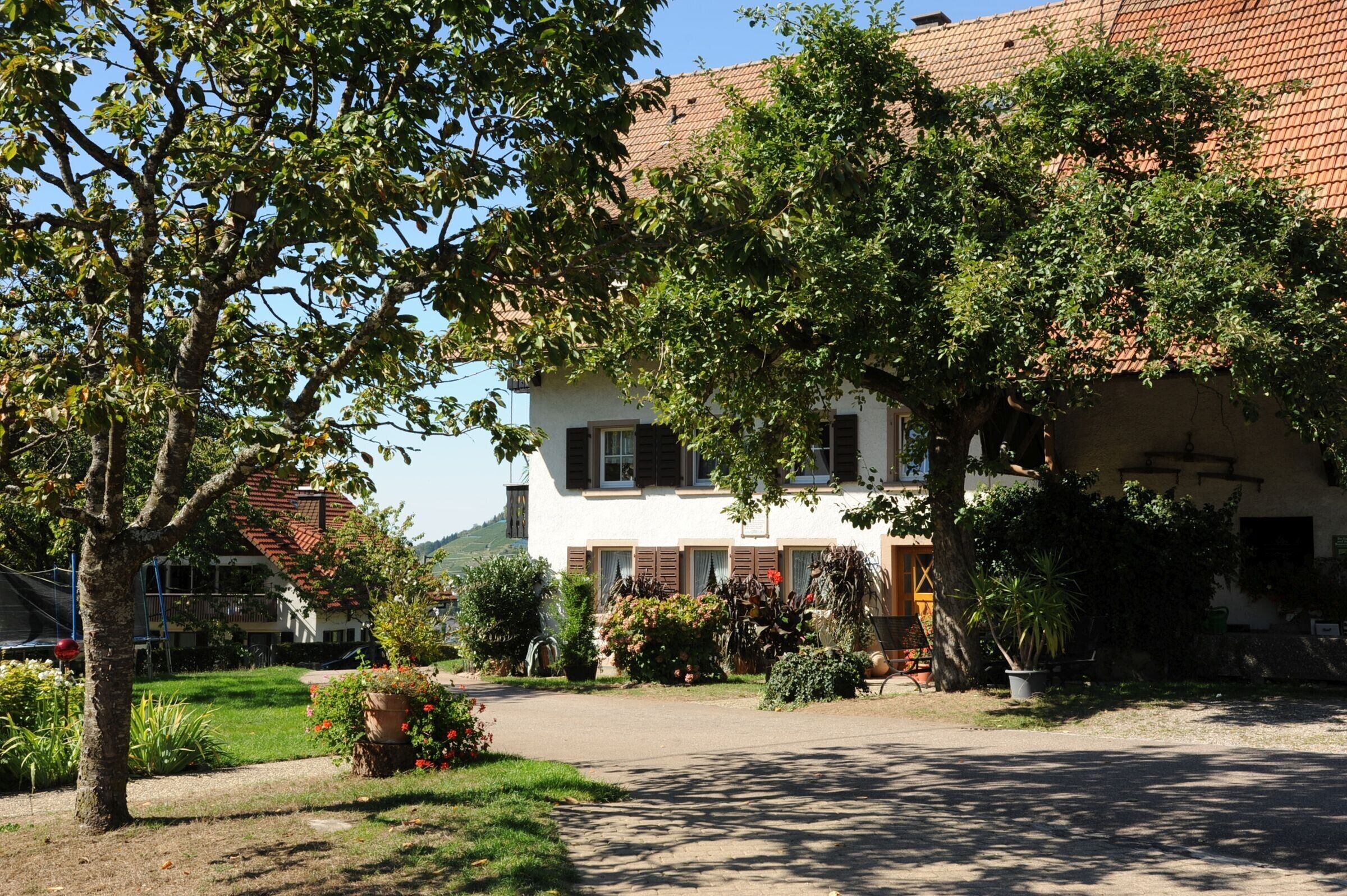 A traditional building with a tiled roof, surrounded by lush greenery and a clear sky.