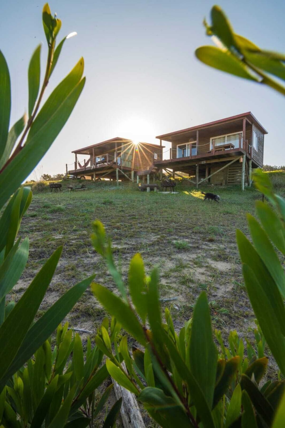 VĂ€rdens profilbild