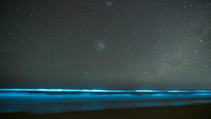 Un ciel étoilé au-dessus d’une plage.