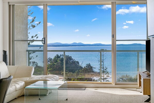 تلفزيون، مشغل دي في دي