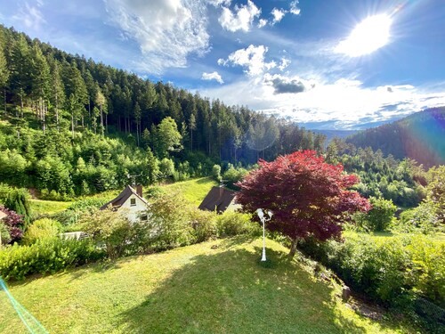 Wohnung mit Balkon & super Aussicht im Schwarzwald