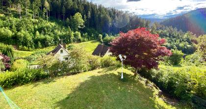 Wohnung mit Balkon & super Aussicht im Schwarzwald