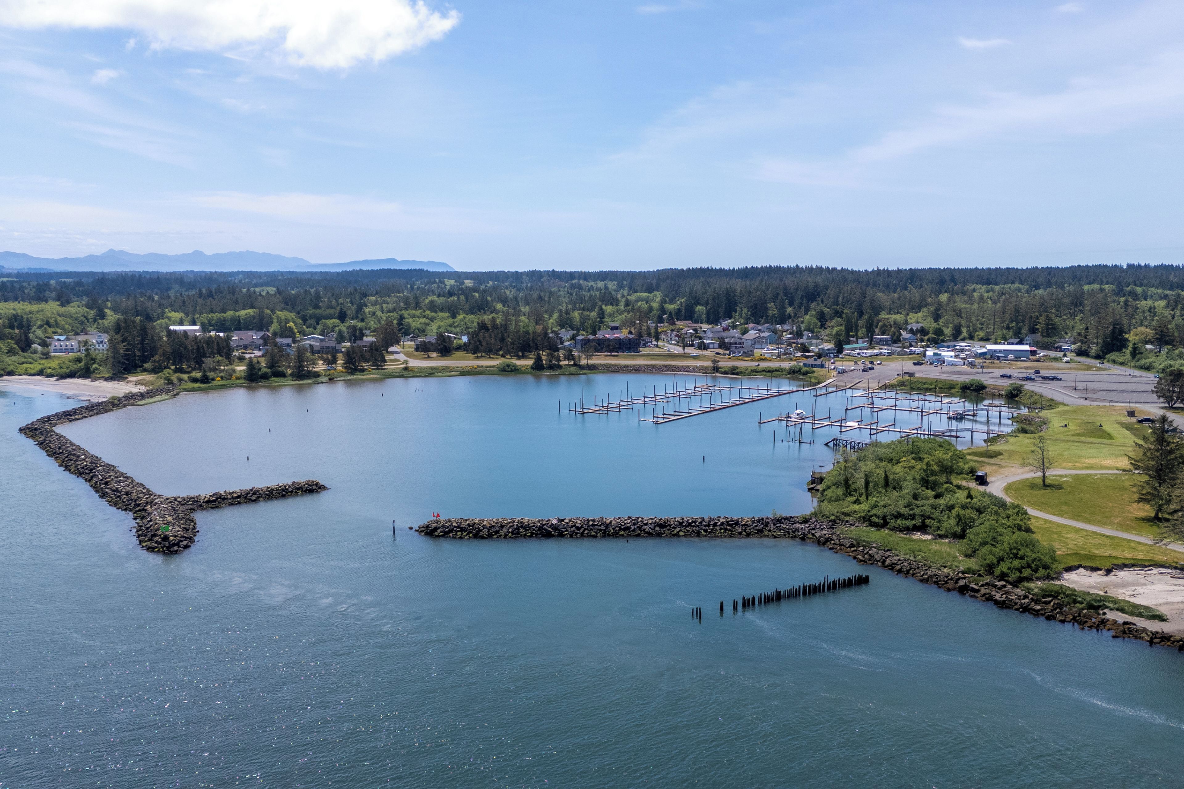 A marina with docks and boats, surrounded by a residential area and a forested landscape.