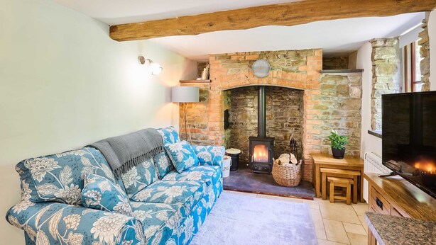 A cozy living room with a stone fireplace, a sofa, a television, and a small table with a plant. - Host Stay Dipple Farm Cottage (Bideford)