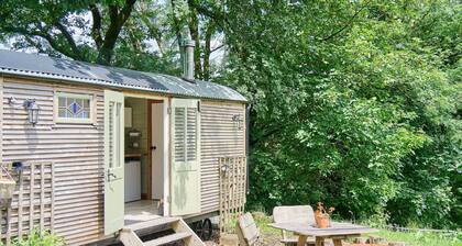 Host Stay Dipple Farm Shepherds Hut