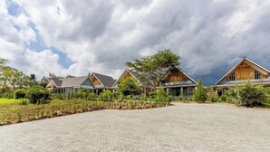 A row of wooden cabins with a paved driveway and landscaped garden. - The Cabin Azure (Naivasha)