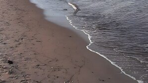 A beach with waves gently lapping at the shore. - Holiday Home 'Küstenliebe' with Private Terrace, Private Garden and Wi-Fi (Fehmarn)