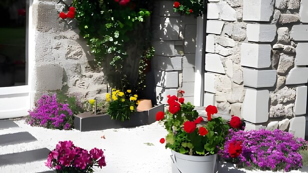 A building with a stone facade, a wooden staircase, and potted plants with red and purple flowers. - Holiday Home 'Gîte Le Rosier' with Wi-Fi (Saint-Mamet-la-Salvetat)