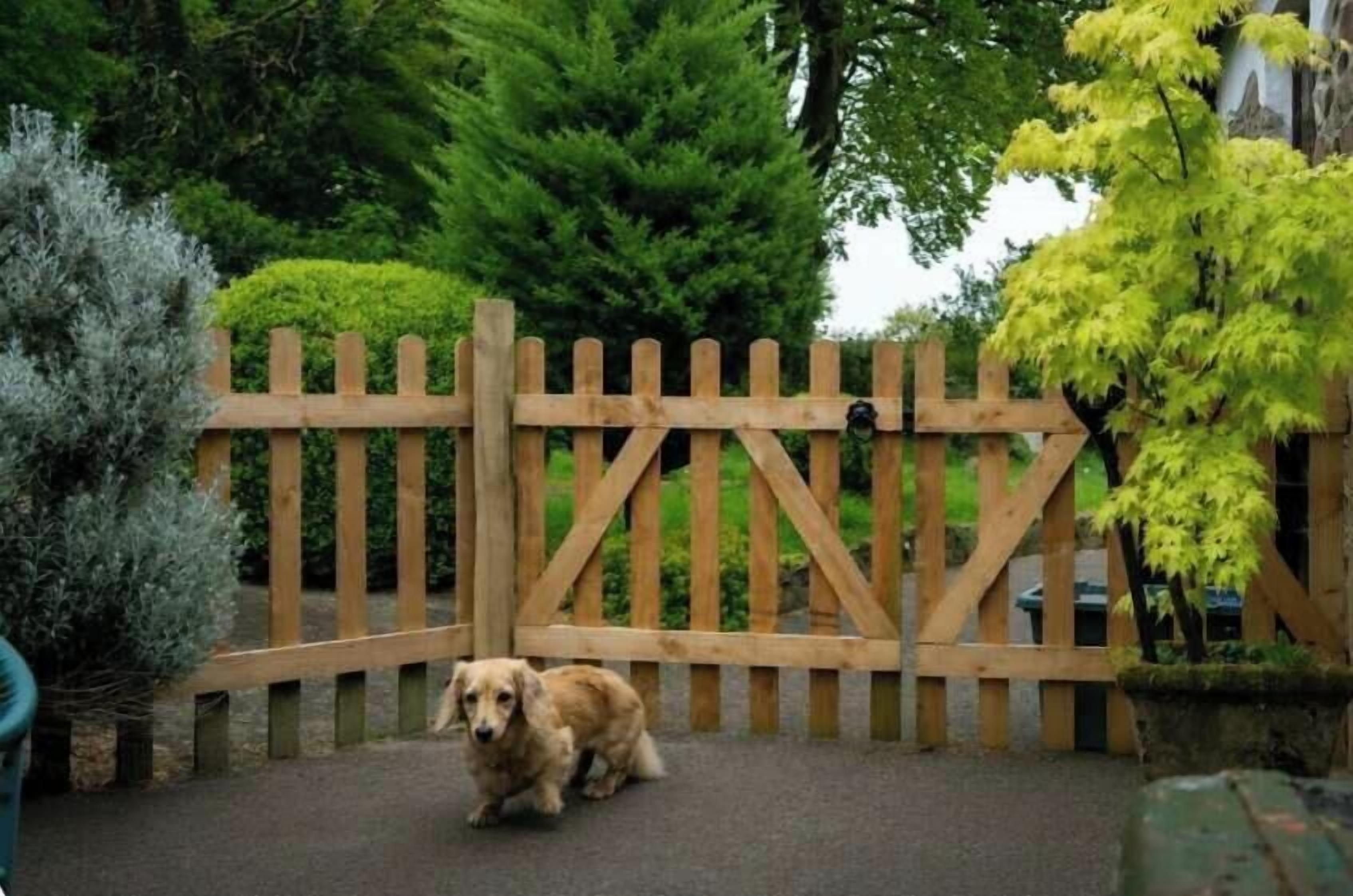 Une porte en bois avec un chien devant.