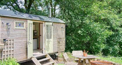 Host & Stay | Dipple Farm Shepherds Hut